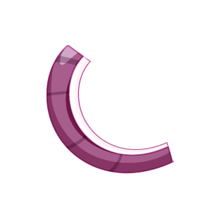Onion