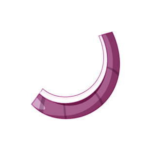 Onion