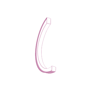 Cilantro